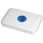 NETGEAR WPN824