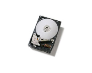 ����160GB(Travelstar 5K160)(HTS541616J9AT00)ͼƬ