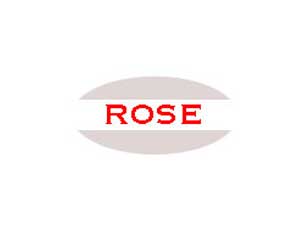 ROSE NIC Array图片