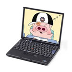 ThinkPad X61 7666AN6