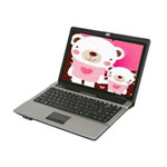 HP Compaq 6520s(KF097PA)