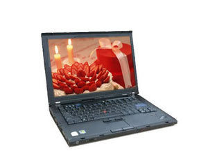 ThinkPad T61 7663MU2图片