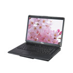 戴尔500(R520561)