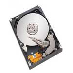 ϣ��320G 7200.4 16M(�ʼǱ�/����ɢ)