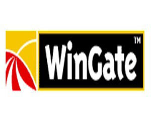 Wingate 6.x 3用户(标准版)图片