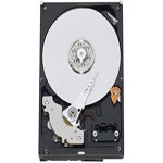 ��������1TB 7200ת 16MB(WD10EADS����)