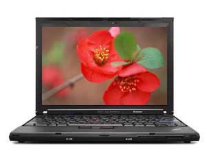 ThinkPad SL500 274667C图片