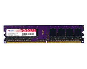 威刚1GB DDR2 667(万紫千红)图片