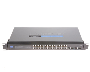 Cisco-Linksys SLM224G2-CNͼƬ