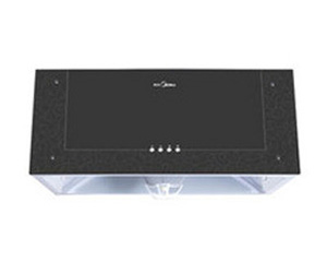CXW-180-DS20