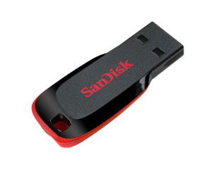 ����SanDisk Cruzer Blade(2GB)ͼƬ