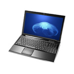 ΢��FX603
