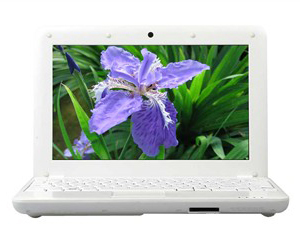 ���� X10C-W116ͼƬ