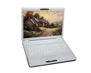 东芝 Portege M806图片