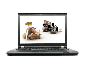 ThinkPad T420s 4171A15