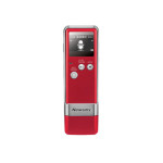 ŦRV19(4GB)