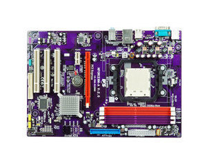 ��ӢNforce6M-A(3.0)ͼƬ