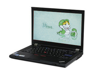 ThinkPad T420s 4171A49