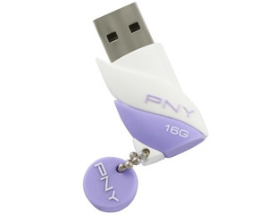 PNY ǹ(16GB)ͼƬ