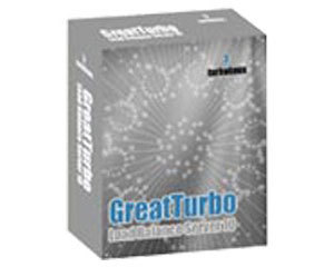 TurboLinux GreatTurbo Load Balance Server 10 Golden EditionͼƬ