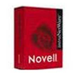NOVELL Net Ware 4.2(�ռ���) ����ϵͳ/NOVELL