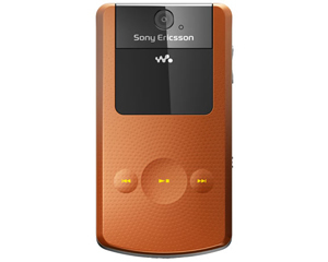 ᰮW508