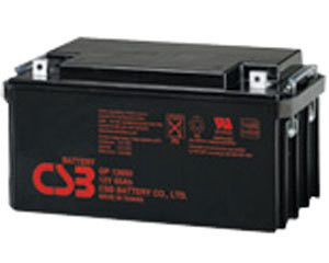 CSB GP12650