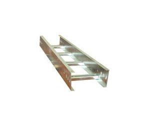 ̩������ż� 300*100ͼƬ