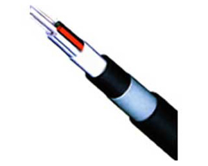 U-net 4о��ģADSS�ǽ����������(GYFSTKY)ͼƬ