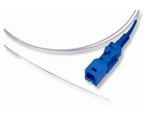 AMP MT-RJβ��