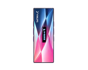 Ӣ����YDP208(2GB)ͼƬ