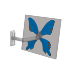 Barkan Blue Butterfly Wings ʾ֧/Barkan