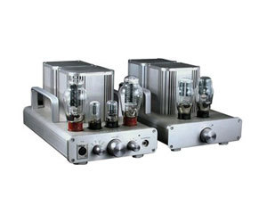 Woo Audio WA 5ͼƬ