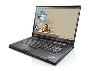 thinkpad t510i 43148zc