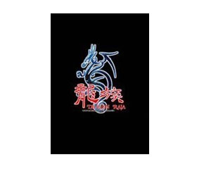 网络游戏新龙族