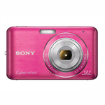 DSC-W310