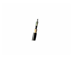 ���������޽�����(GYFTZY-8B1)ͼƬ