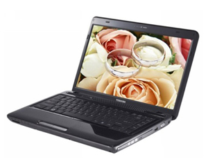 ��֥C600-T61B(������)