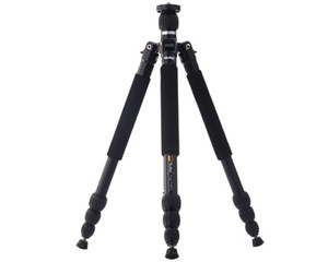 »��Prego PL0615 ���ż�ͼƬ