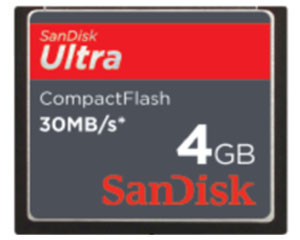 CompactFlash 洢(4GB)