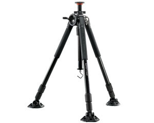 ���� ������-���� 323AT