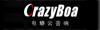 ����2 Pro