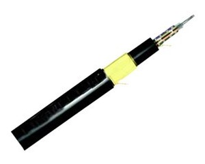 ���� ���ڶ���;��֧����(BOC-48B1)