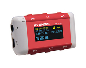ִ NH-1261GB