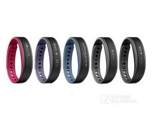 ���� ����Vivosmart