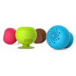 ����˹ С�ݺ�X2 ����/����˹