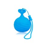 ����˹ С�ݺ�X2i������ʽ�� ����/����˹