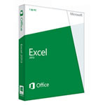 微软Excel 2013 办公软件/微软