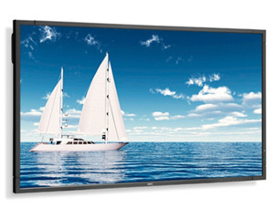 NEC P552ͼƬ