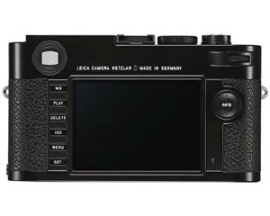�⿨M(Typ262)